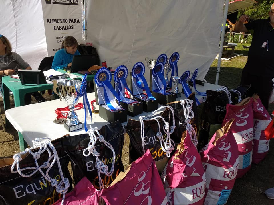 Resultados del Campeonato Navarro de Raid CEI*, CEN*, CET0*, Promoción 60km y 40km celebrado en Añezcar